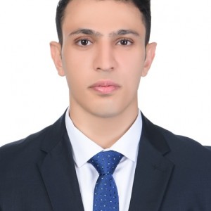 Amro Alaaeldin Mohamed Hafez Elsisy