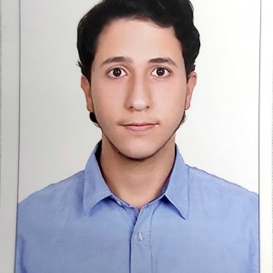 Abdullah Alseikh 