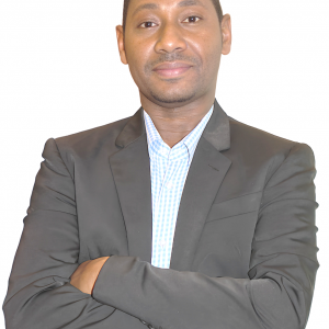 Abdelhafiez Mohammed Hassan Abdullah